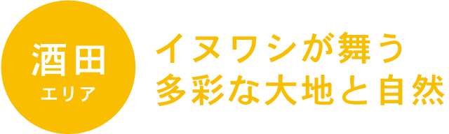 SAKATA 酒田