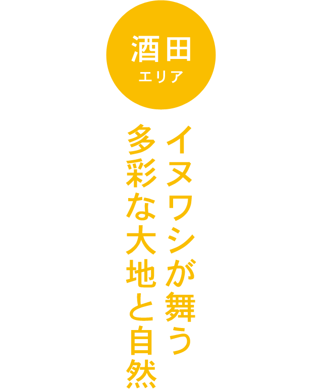 SAKATA