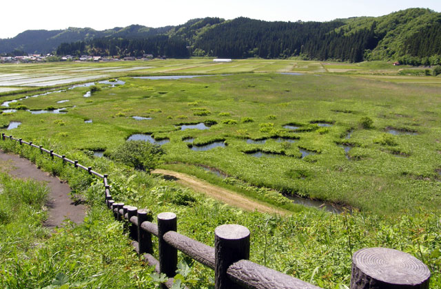 加田喜沼湿原