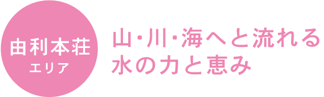 YURIHONJO 由利本荘
