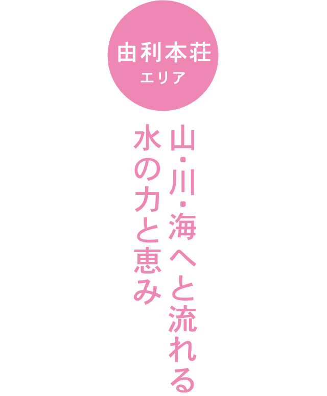 YURIHONJO 由利本荘