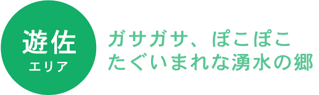 YUZA 遊佐