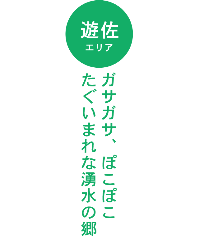 YUZA 遊佐
