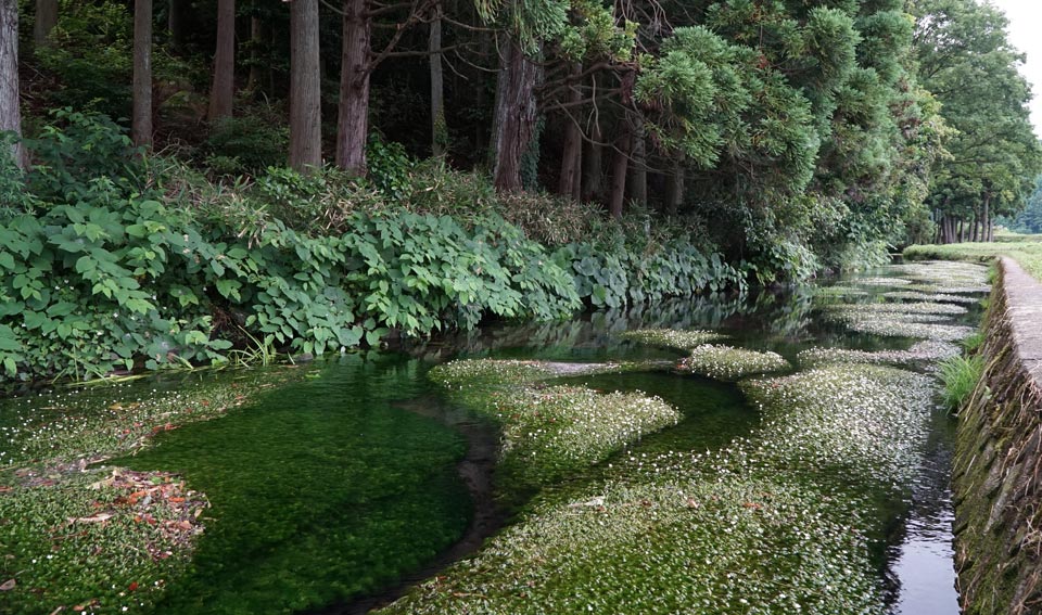 ushiwatarigawa2